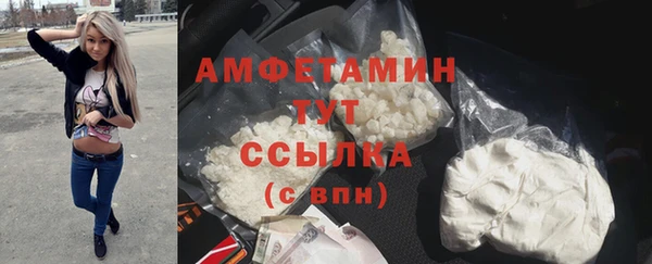 индика Лихославль