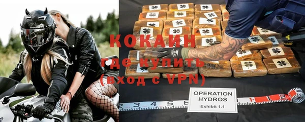индика Лихославль
