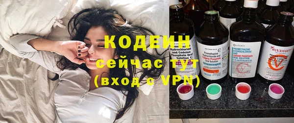 индика Лихославль
