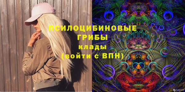 марки lsd Билибино