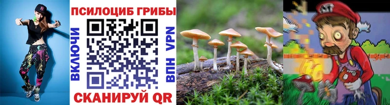 Псилоцибиновые грибы Psilocybe  Томари 